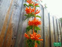 android_upload_pic-汕头莲花山度假村温泉