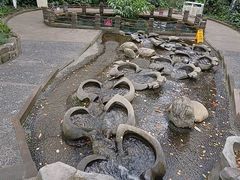 -成都市活水公园
