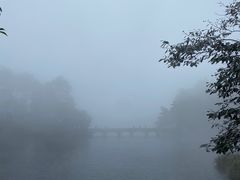 -庐山风景区花径公园