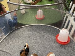 -广州长隆国际大马戏