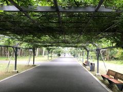 -东平国家森林公园