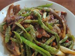 回锅羊肉-野狗羊肉汤