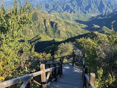 -大岭沟猕猴桃谷风景区