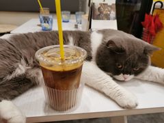 -22cafe