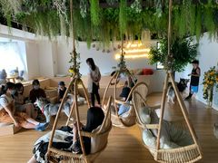 -Husky Go! 哈士奇体验馆·宠物咖啡厅狗咖