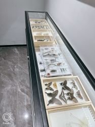 -酷嗒动物文化乐园(cutezoo西溪乐天城店)