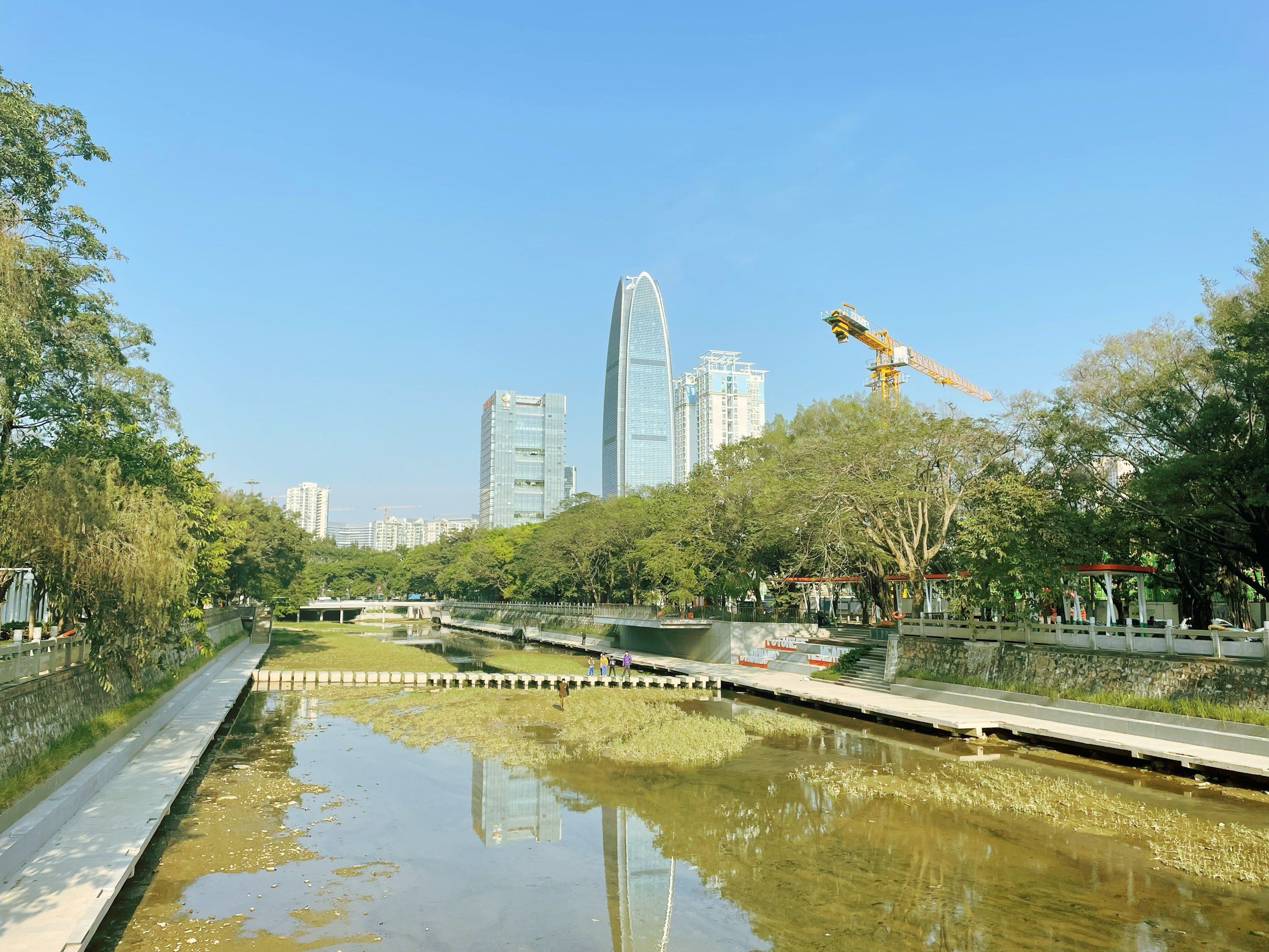 新圳河两岸风光