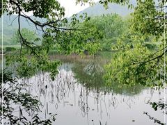 -八卦田遗址公园
