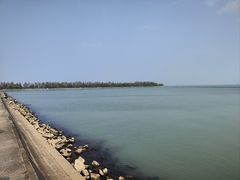 -贡湖湾湿地公园