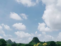-南宁花花大世界景区