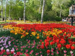 -国家植物园南园