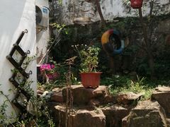 -美味之家·湖景农家乐(太湖东山店)