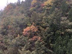-北京上方山国家森林公园