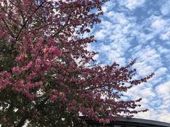 -佛山大学(仙溪校区南区)