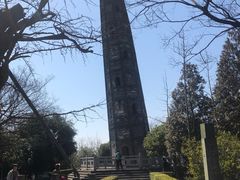 -上海佘山国家森林公园天马山园