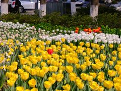 -玄武湖景区-情侣园游乐场