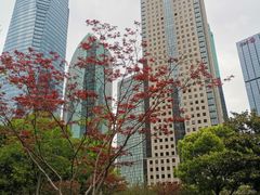 -陆家嘴中心绿地