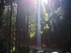 -山王坪喀斯特国家生态公园