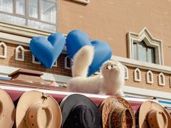 -新疆国际大巴扎