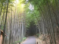 -苏州环秀晓筑养生度假村