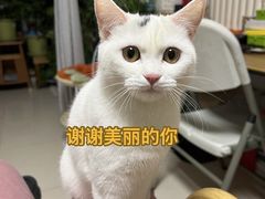 -宠福鑫动物医院(立水桥分院)