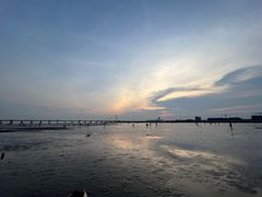 -南汇新城海滩