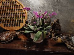 -Angkor SPA 柬埔寨古法按摩(环贸店)