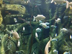 -波塞冬旅游度假区