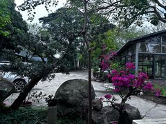 -罗浮山·罗园农庄