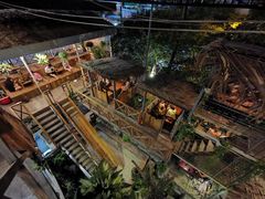 -Rainforest