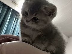 -杭州文化广播电视集团