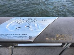 -星光大道