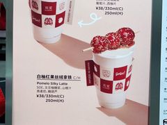-Seesaw Coffee(西岸凤巢店)