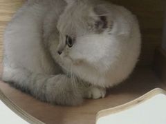 -联合动物医院(光谷诊疗中心)