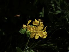 -北京上方山国家森林公园