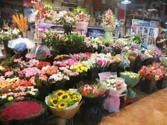 -大自然花鸟鱼虫市场
