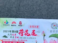 -上海海湾国家森林公园