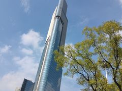 -紫峰大厦
