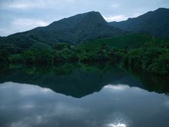 -龙坞茶村
