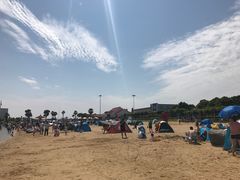 -碧海金沙