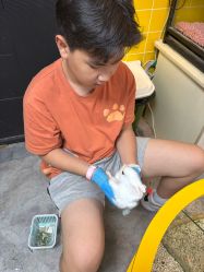 -神奇动物撸宠馆·羊驼·小浣熊·异宠(豫园店)