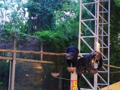 -清迈夜间动物园