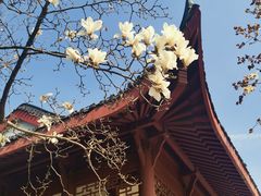 -堤角公园