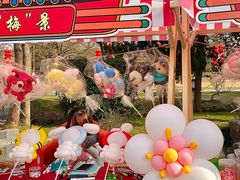 -梅花山(明孝陵内)