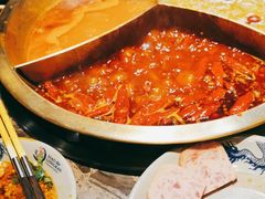 -小龙坎火锅(春熙太古里店)