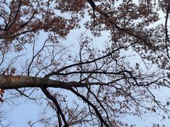 -大伊山景区