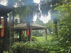 -野蔓果·山野菜(西湖景区·龙井茶田店)