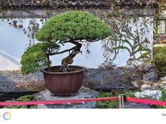 -水绘园