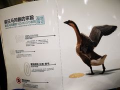 -鹅城