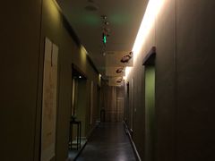 -御手国医·古法经络调理(光华店)